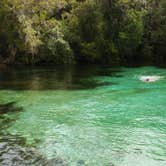 Review photo of Rainbow Springs State Park Campground by Danyel P., November 8, 2020