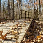 Review photo of Maramec Spring Park by AC , November 8, 2020