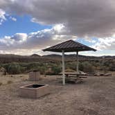 Review photo of Afton Canyon Campground by Peter H., November 8, 2020