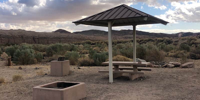 Camper submitted image from Afton Canyon Campground