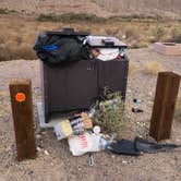 Review photo of Afton Canyon Campground by Peter H., November 8, 2020