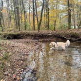 Review photo of Pocket Campground — Chattahoochee Oconee National Forest by Ward , November 8, 2020