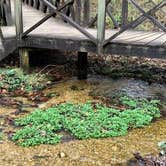 Review photo of Pocket Campground — Chattahoochee Oconee National Forest by Ward , November 8, 2020