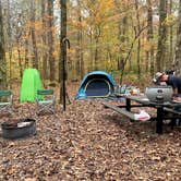 Review photo of Pocket Campground — Chattahoochee Oconee National Forest by Ward , November 8, 2020