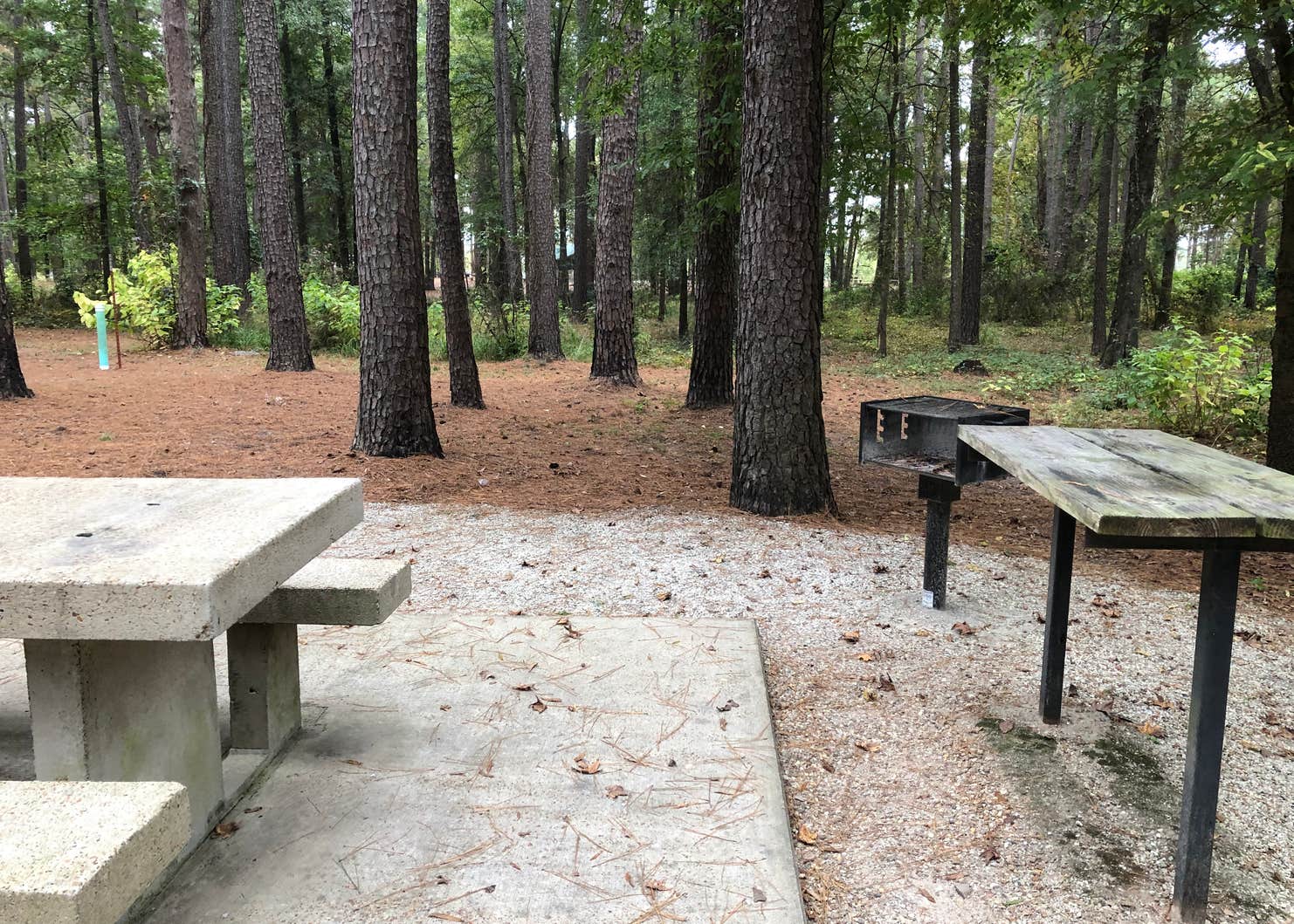 COE Wright Patman Lake Clear Springs Campground Camping The Dyrt