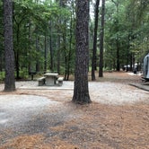 Review photo of Clear Springs Campground by Napunani , November 8, 2020