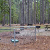 Review photo of Clear Springs Campground by Napunani , November 8, 2020