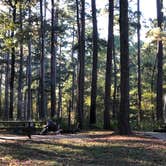 Review photo of Cagle Recreation Area by Napunani , November 8, 2020