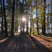 Review photo of Cagle Recreation Area by Napunani , November 8, 2020