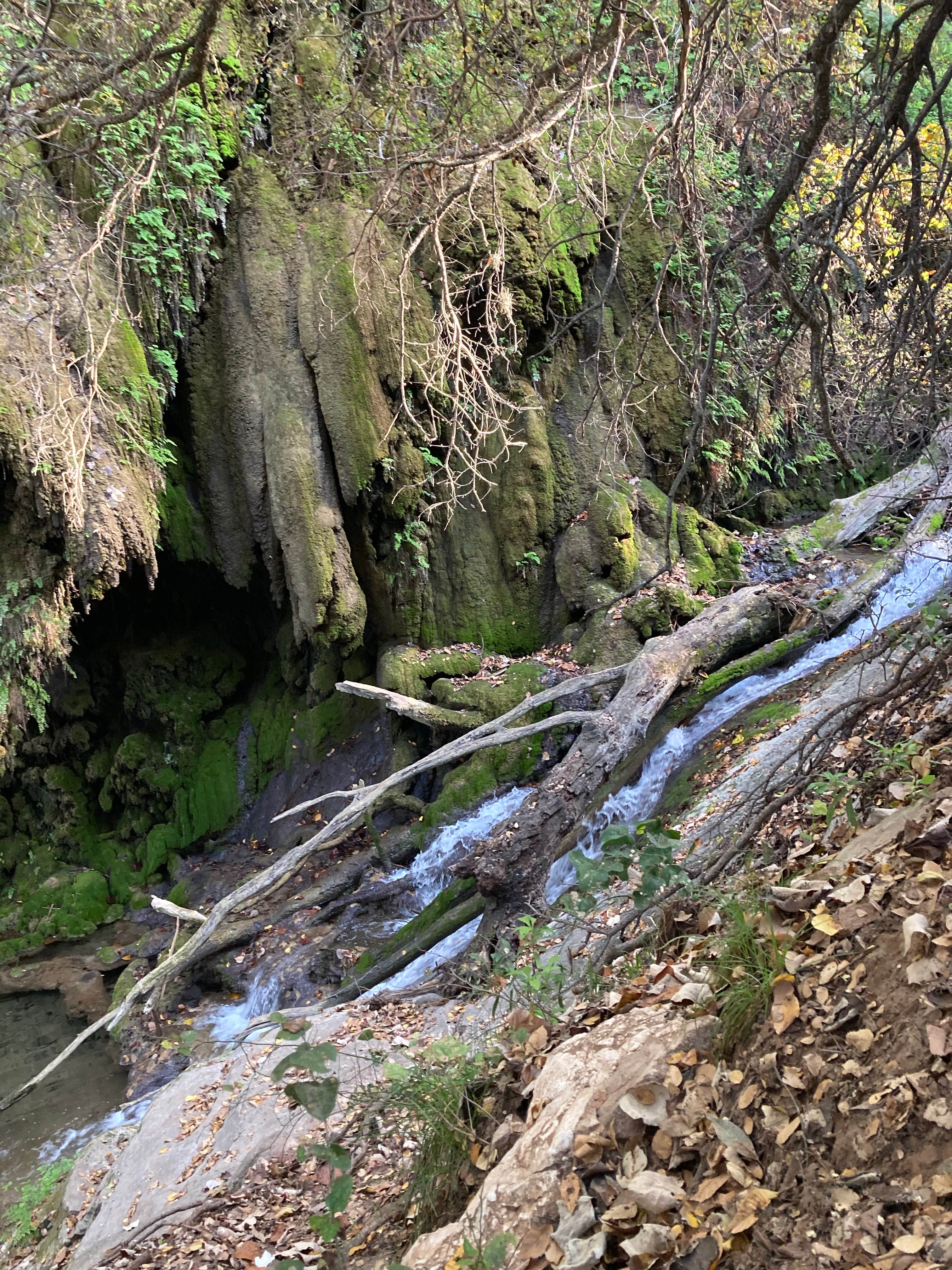 Camper-submitted photo at North Area — Colorado Bend State Park Campground near Copperas Cove, TX