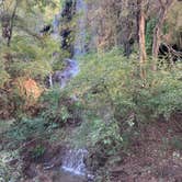 Review photo of North Area Primitive Site — Colorado Bend State Park by Lindsey  L., November 8, 2020