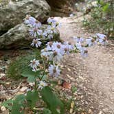 Review photo of Mother Neff State Park Campground by Lindsey  L., November 8, 2020