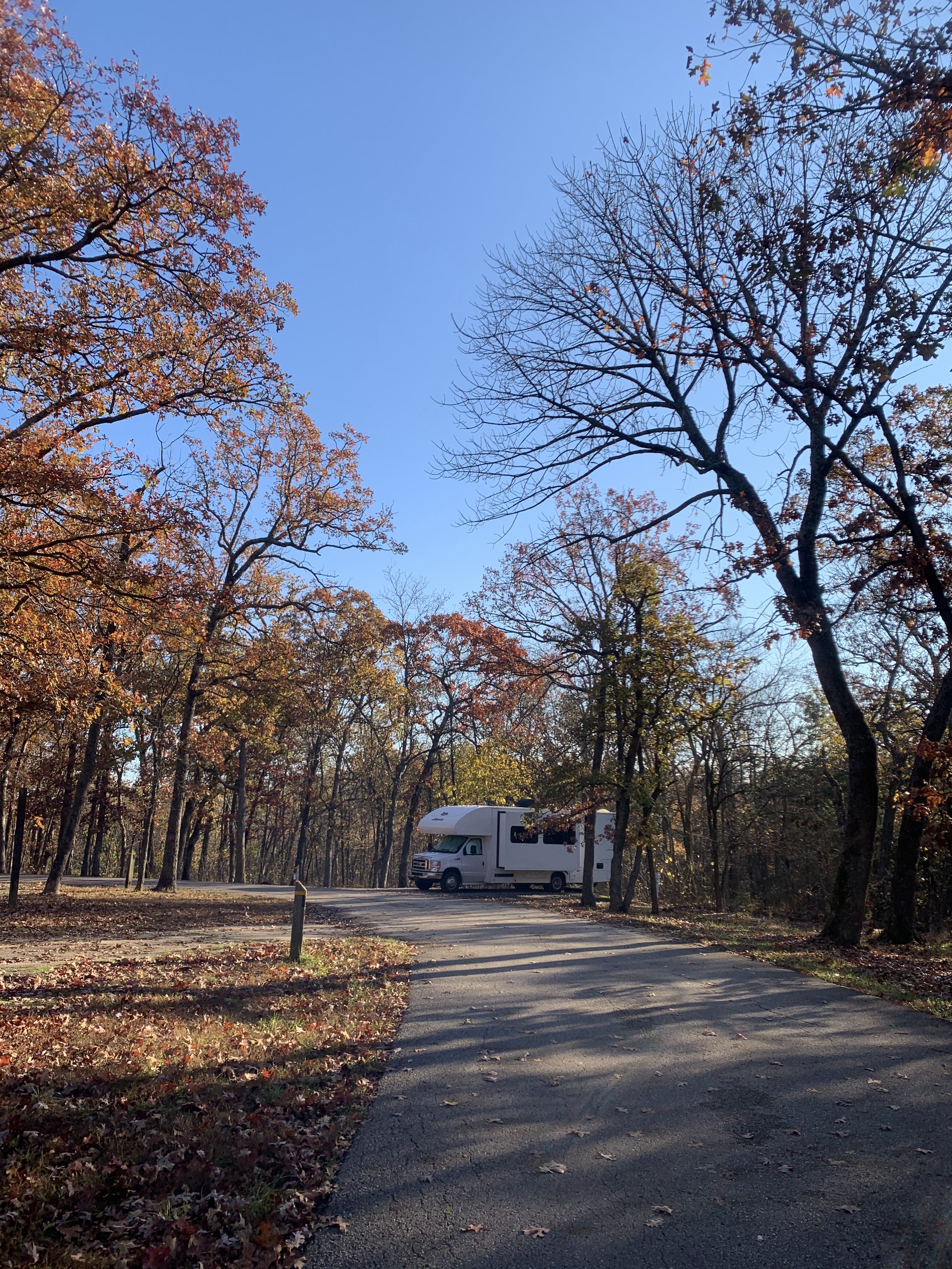 Camper submitted image from Graham Cave State Park Campground - 1