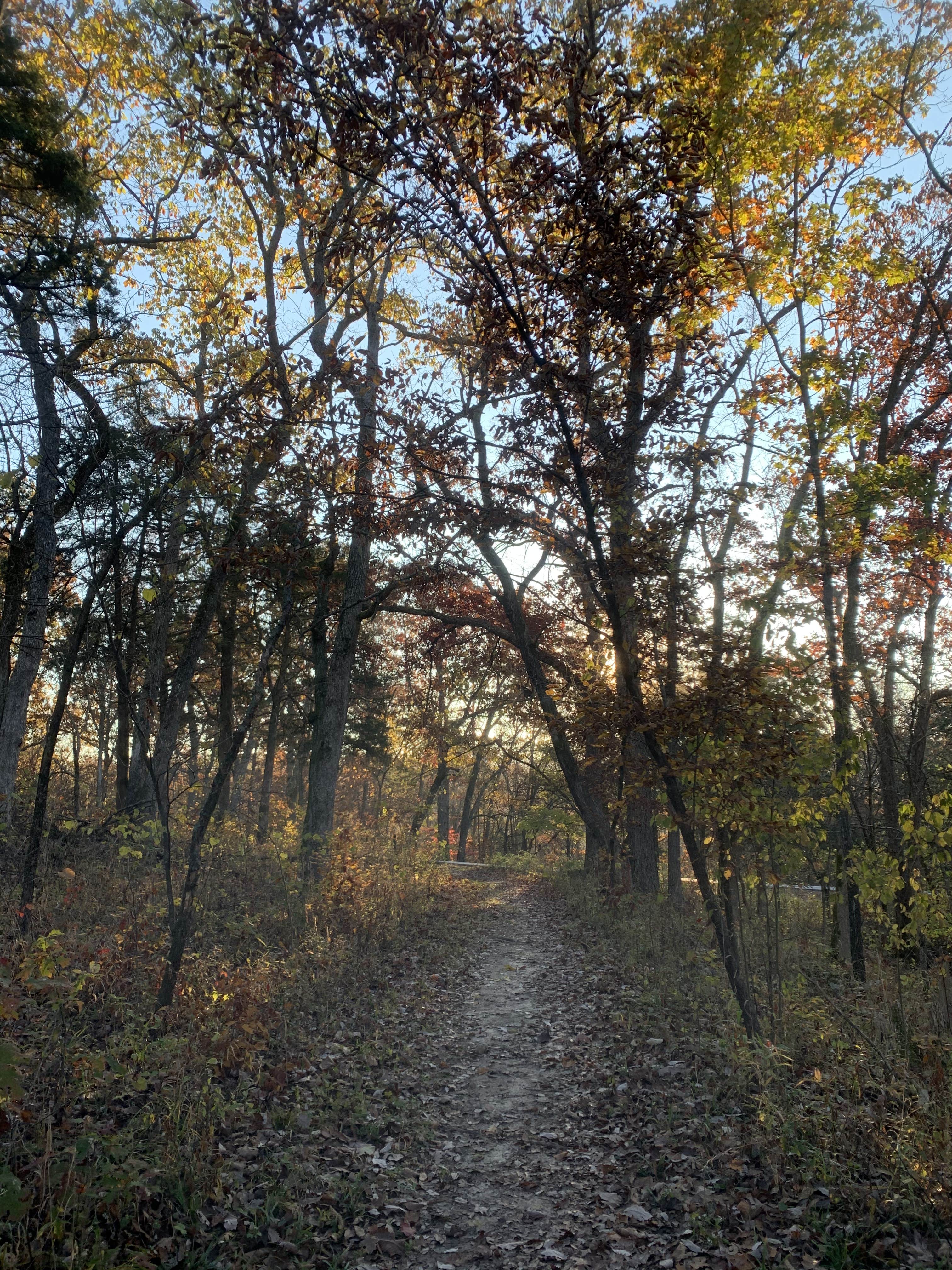 Camper-submitted photo at Graham Cave State Park Campground near Silex, MO