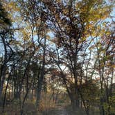 Review photo of Graham Cave State Park Campground by Laura M., November 8, 2020