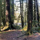 Review photo of Staircase Campground — Olympic National Park by Gabriel V., November 8, 2020