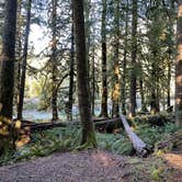 Review photo of Staircase Campground — Olympic National Park by Gabriel V., November 8, 2020