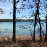 Review photo of Clear Lake State Park Campground by Bill W., November 9, 2020