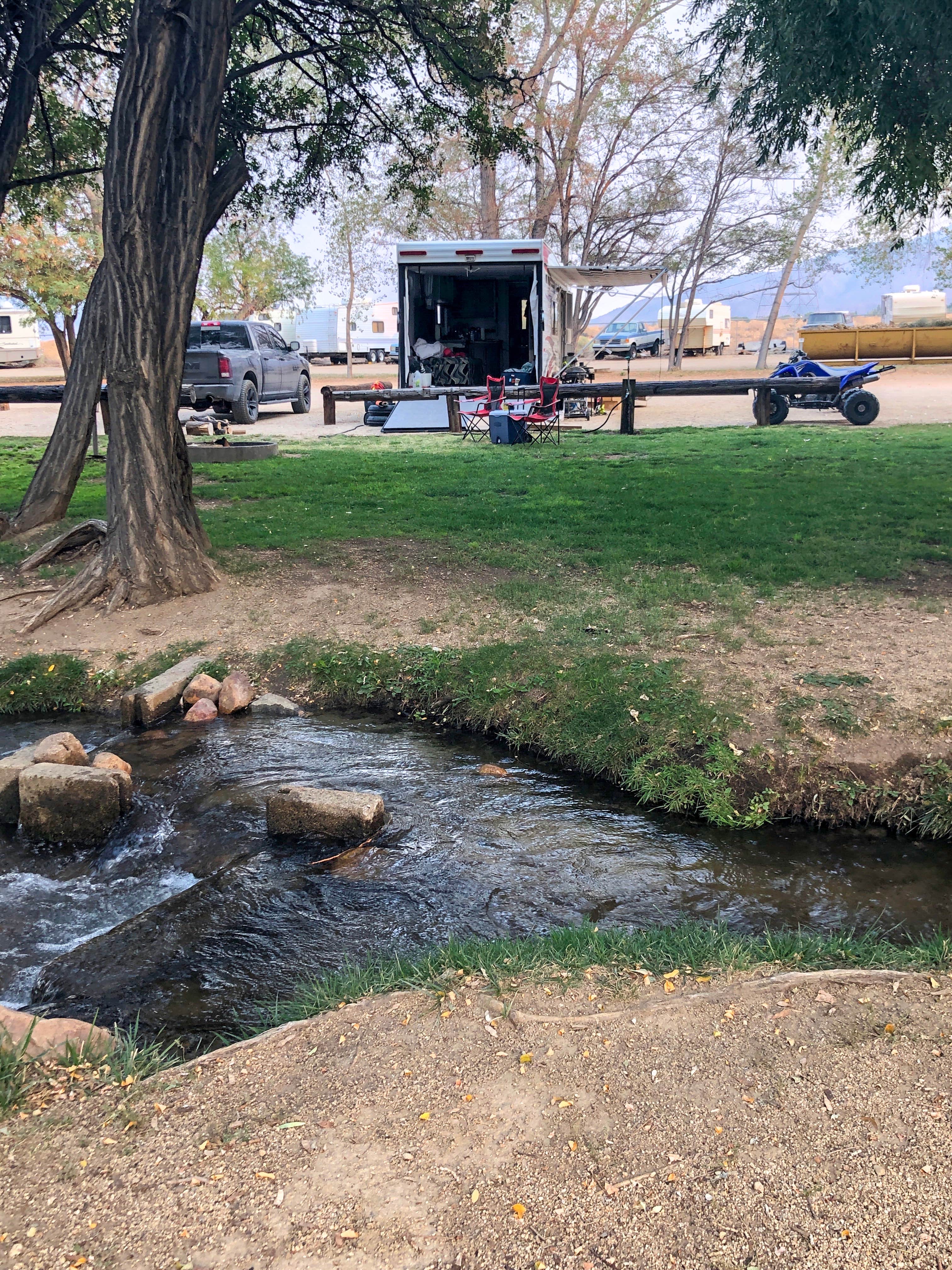 Camper submitted image from Brown's Millpond Campground - 3