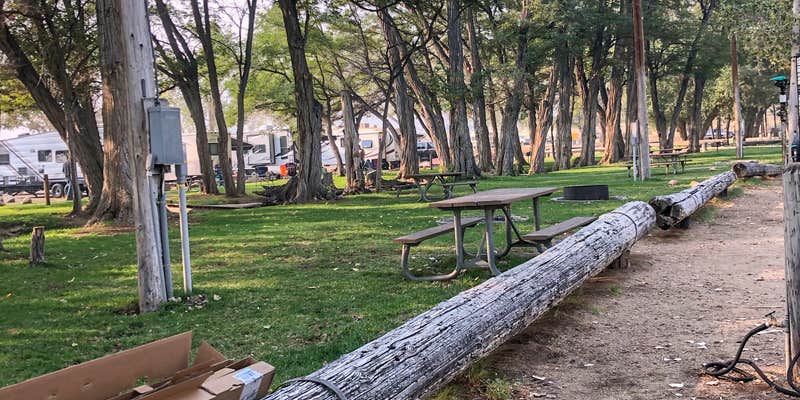 Camper submitted image from Brown's Millpond Campground