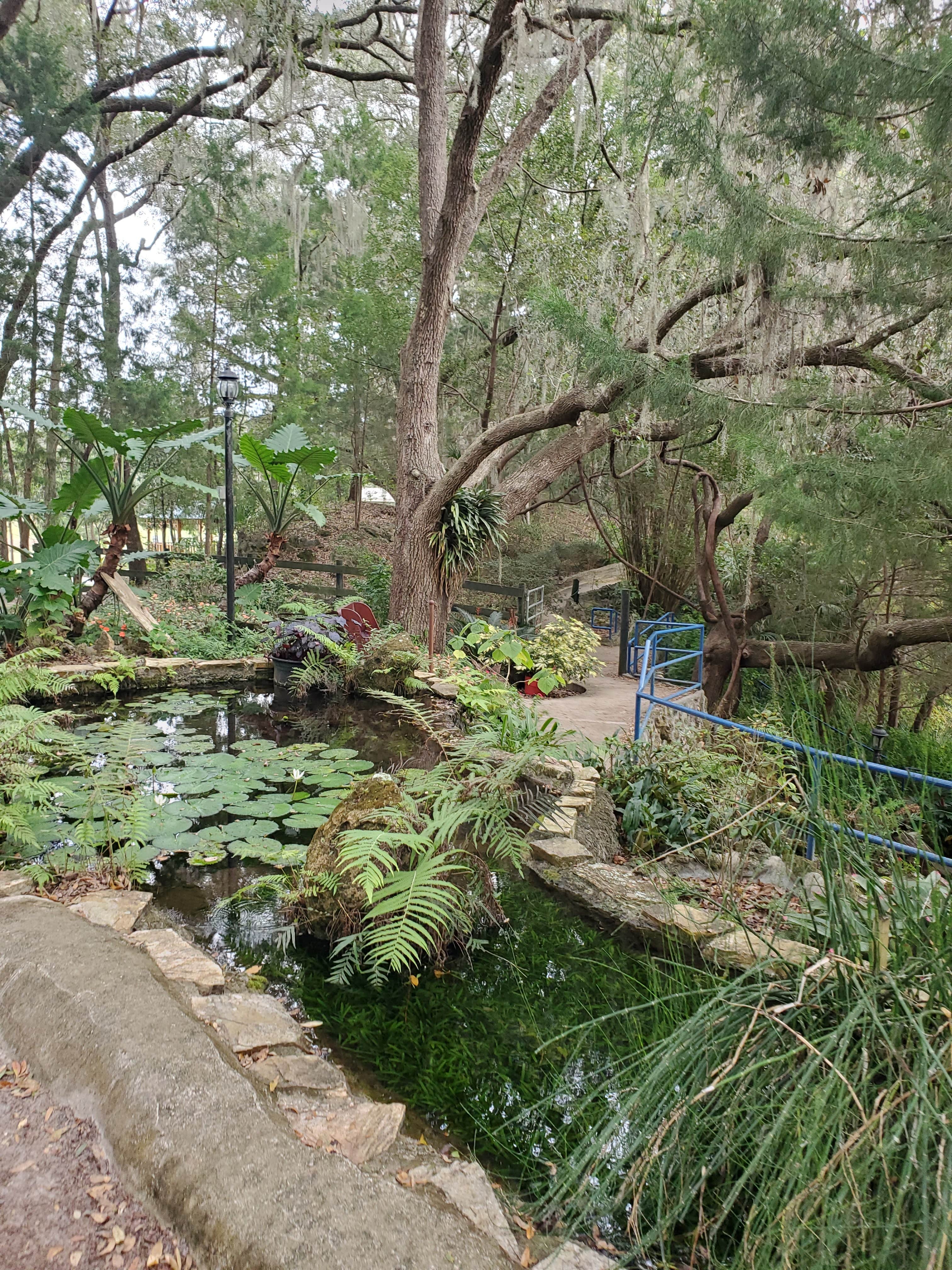 Camper-submitted photo at Williston Crossings RV Resort near Bronson, FL