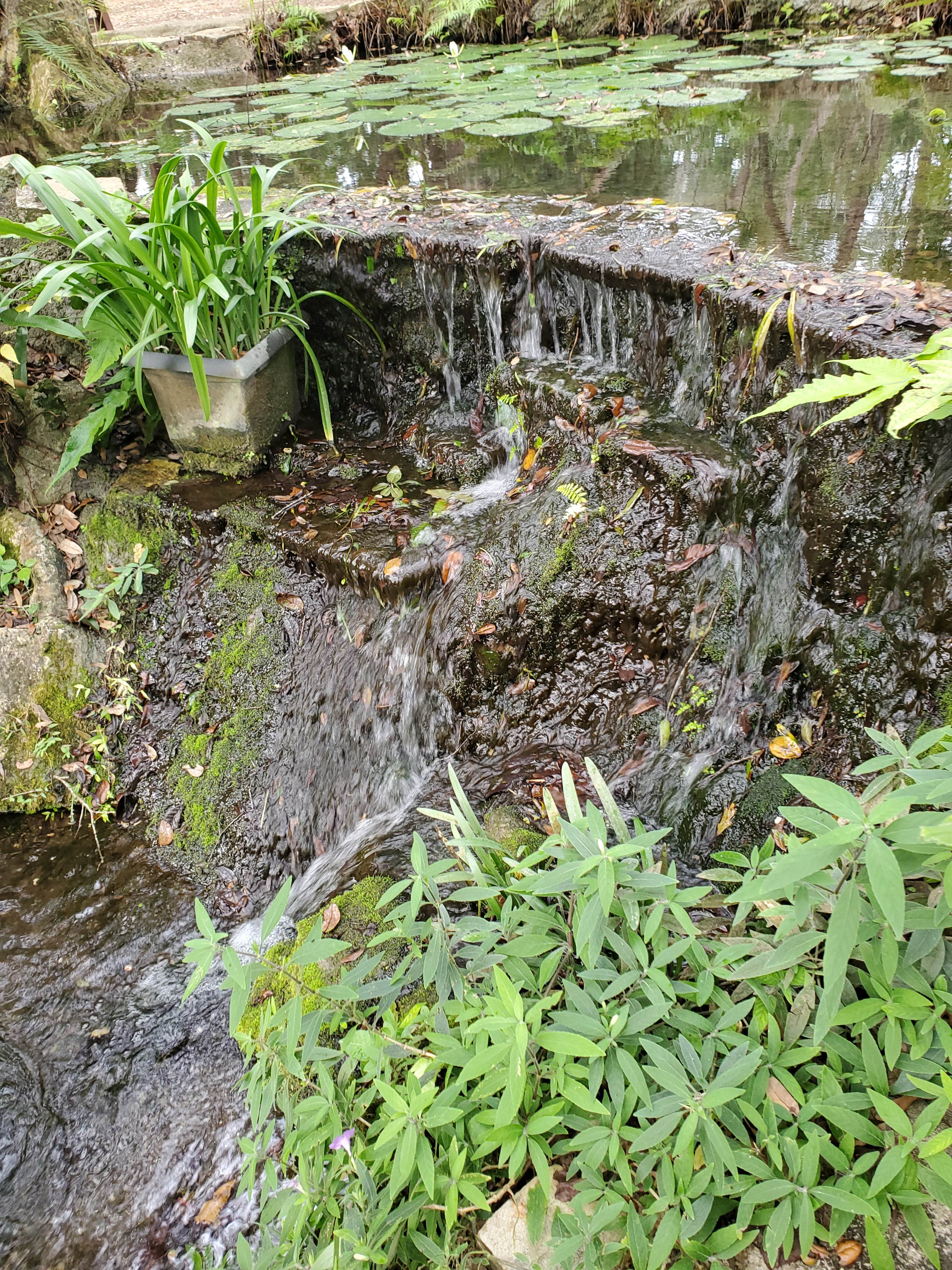 Camper-submitted photo at Williston Crossings RV Resort near Bronson, FL