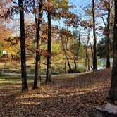 Review photo of Lake Charles State Park Campground by Chad C., November 9, 2020