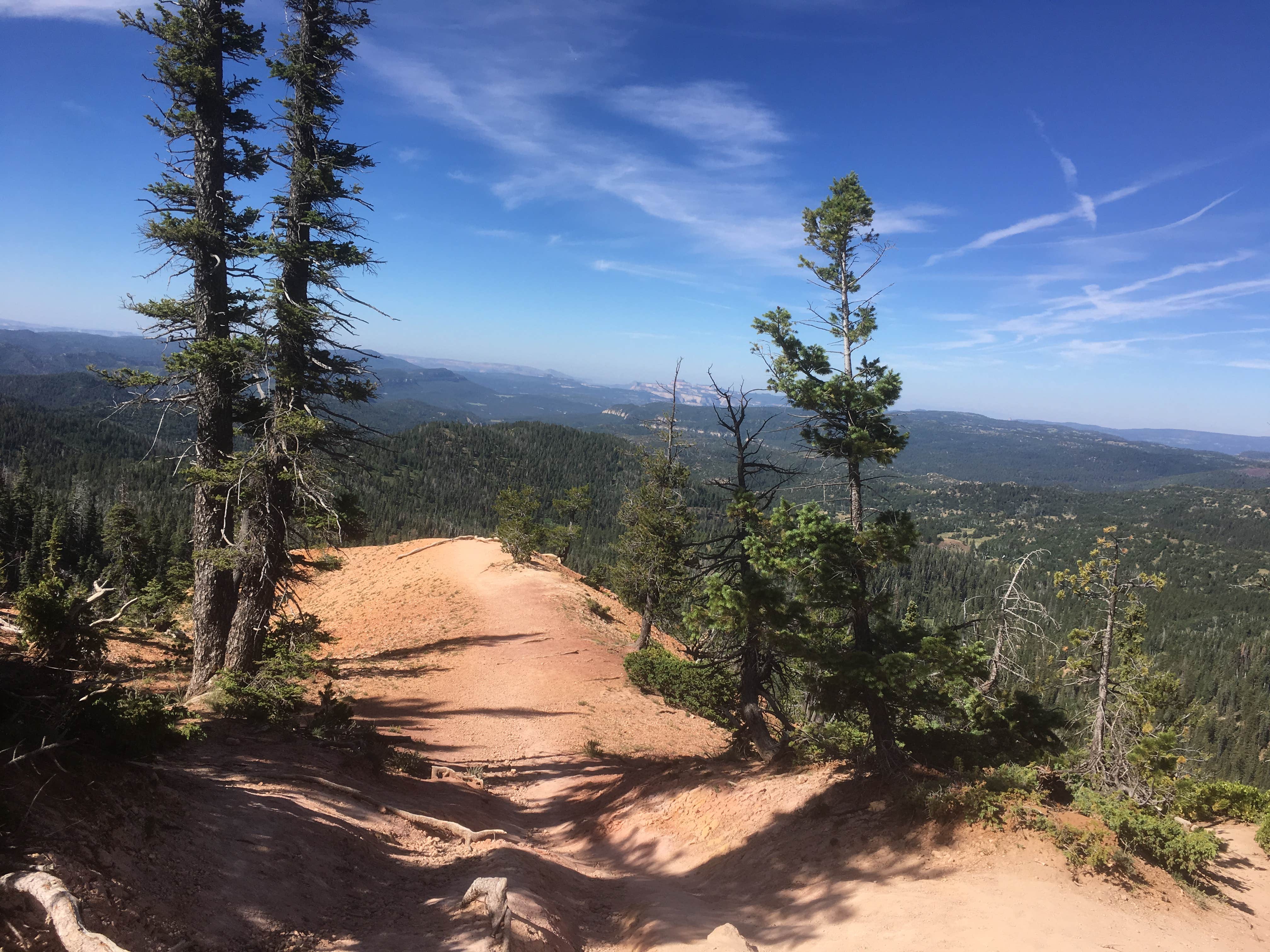 Camper submitted image from Duck Creek - 4