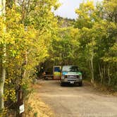 Review photo of June Lake Campground by Carly E., May 23, 2018