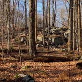 Review photo of Pickerel Point Campground — Promised Land State Park by Gregory L., November 9, 2020