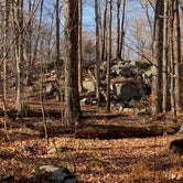 Review photo of Pickerel Point Campground — Promised Land State Park by Gregory L., November 9, 2020