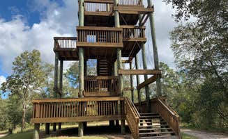 Bruce D.'s photo of a cabin at Withlacoochee River Park near Thonotosassa, FL