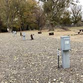 Review photo of Cow Hollow Park by Jill T., November 9, 2020