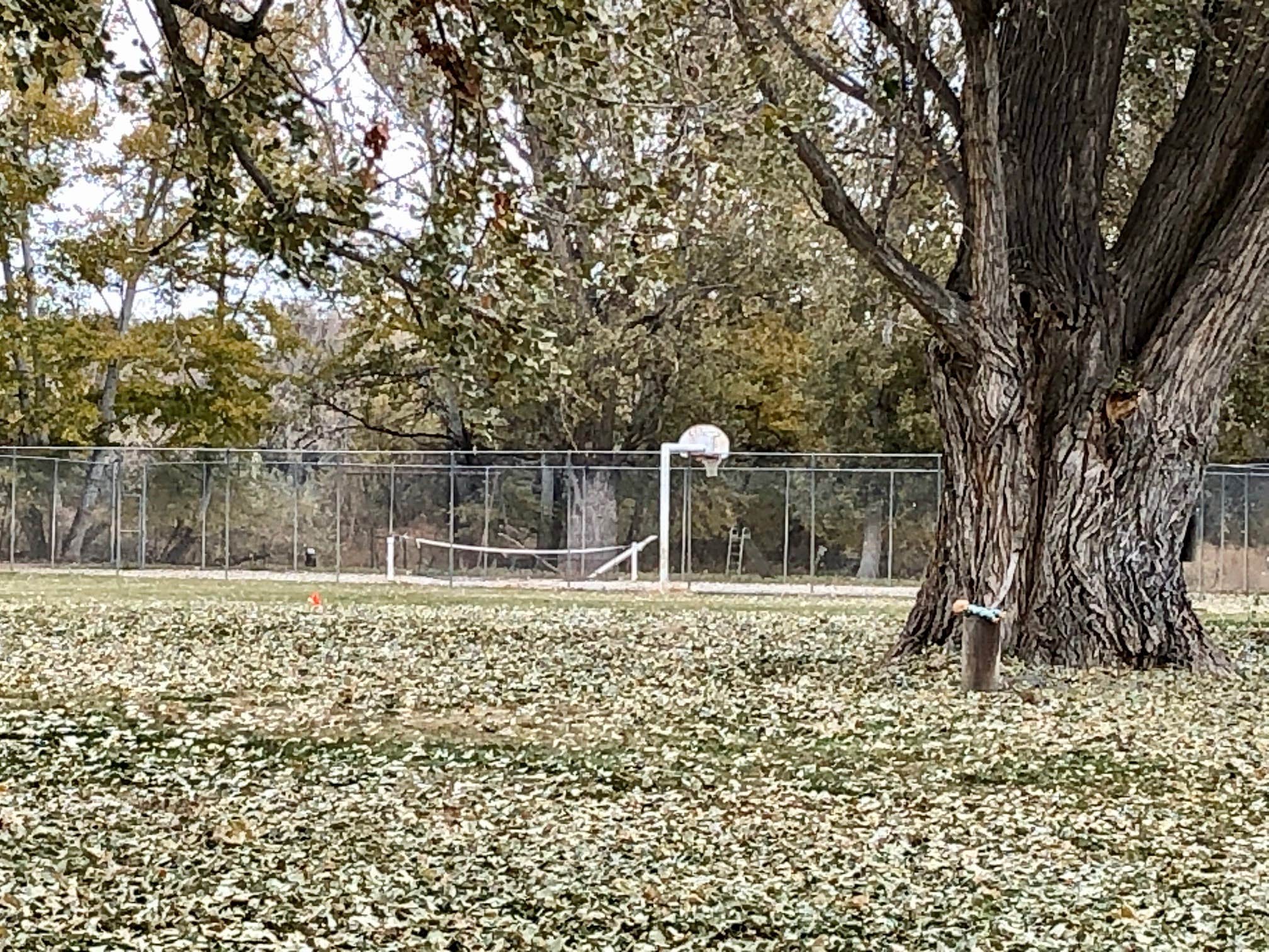 Camper-submitted photo at Cow Hollow Park near Adrian, OR