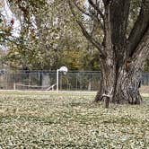 Review photo of Cow Hollow Park by Jill T., November 9, 2020