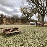 Review photo of Cow Hollow Park by Jill T., November 9, 2020