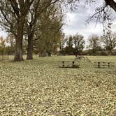 Review photo of Cow Hollow Park by Jill T., November 9, 2020