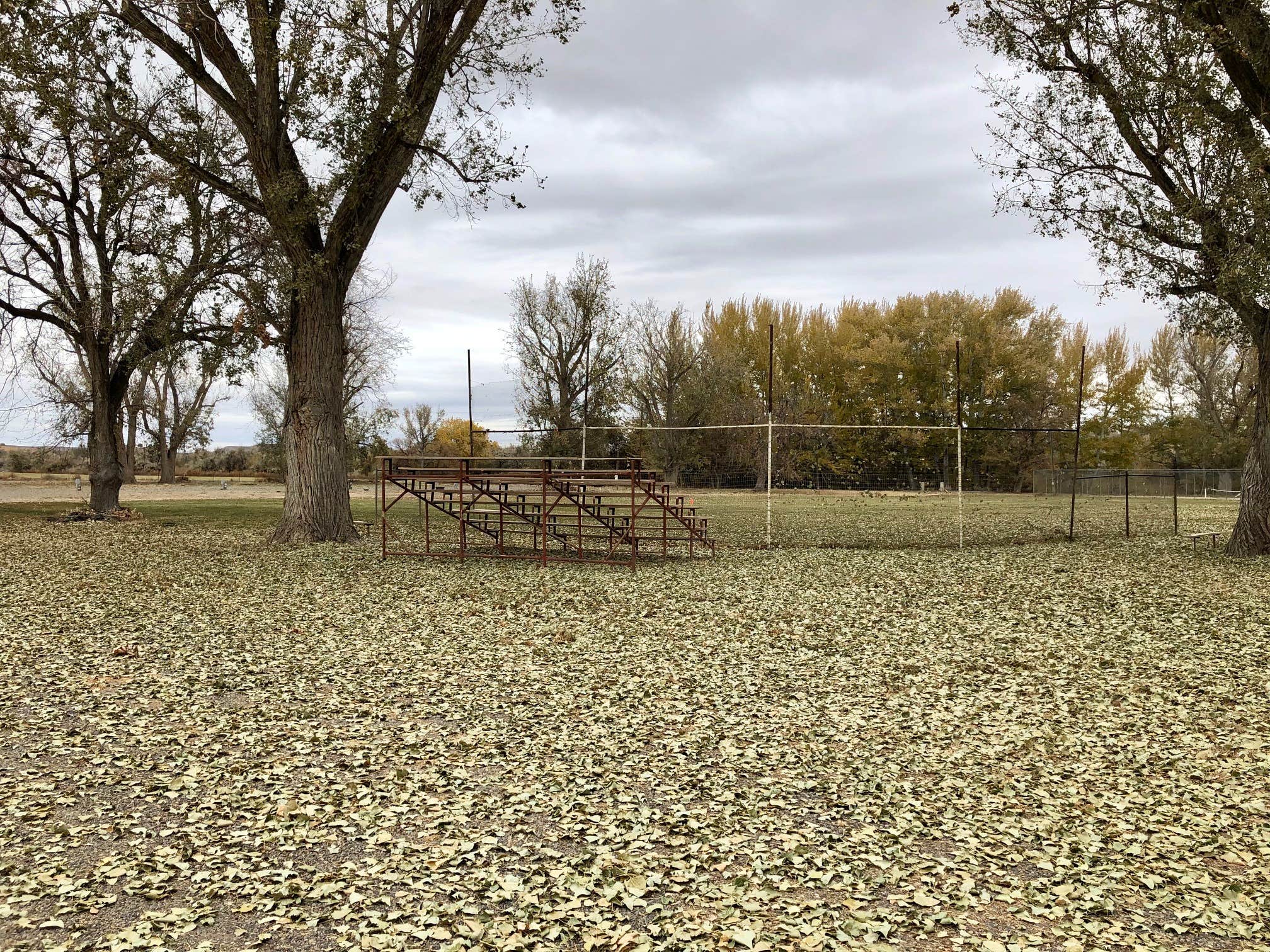 Camper-submitted photo at Cow Hollow Park near Adrian, OR