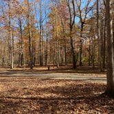 Review photo of Foster Falls Campground by Traci C., November 9, 2020
