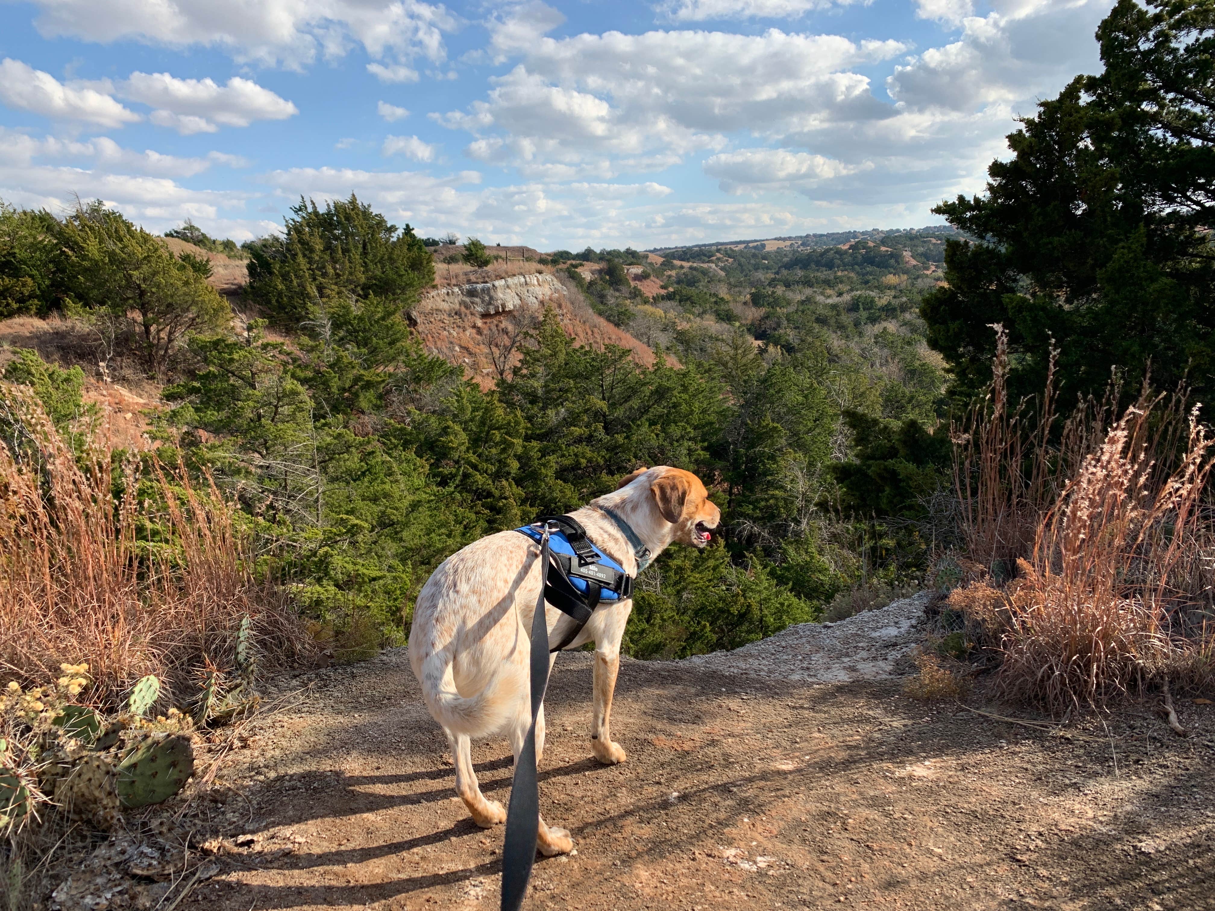 Leslie  N.'s photo of camping with pets at Roman Nose State Park — Roman Nose State Resort Park near Weatherford, OK