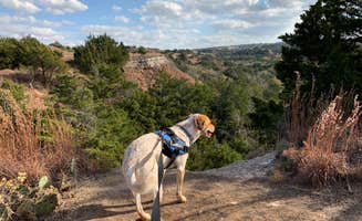 Leslie N.'s photo of camping with pets at Roman Nose State Park — Roman Nose State Resort Park near Hinton, OK