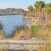 Review photo of Davis Camp Park - Mohave County by Brittney  C., November 9, 2020