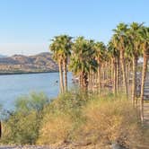 Review photo of Davis Camp Park - Mohave County by Brittney  C., November 9, 2020