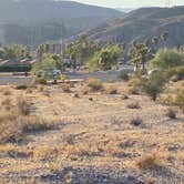 Review photo of Davis Camp Park - Mohave County by Brittney  C., November 9, 2020