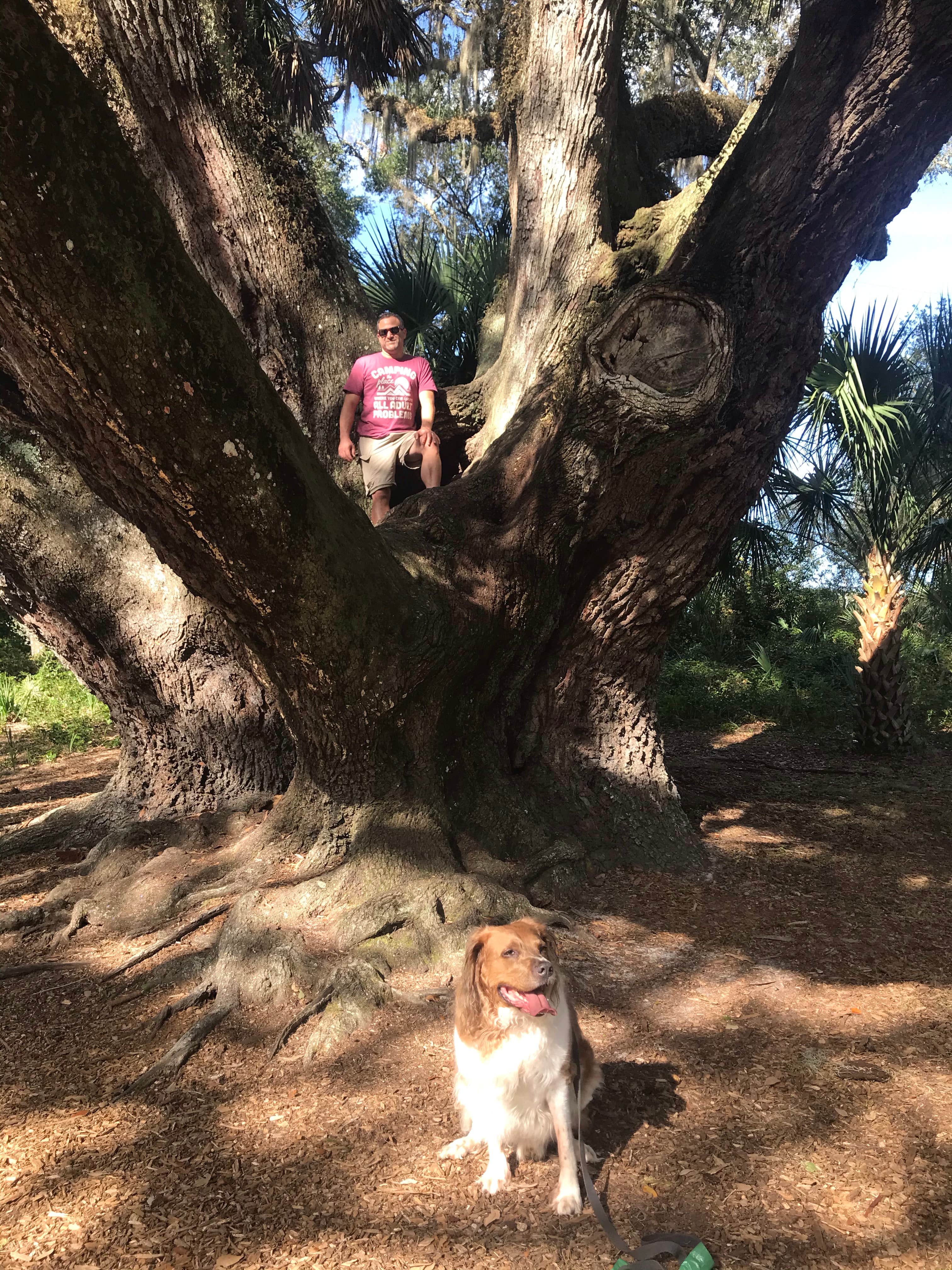 Sarah K.'s photo of camping with pets at Lake Griffin State Park Campground near Tavares, FL