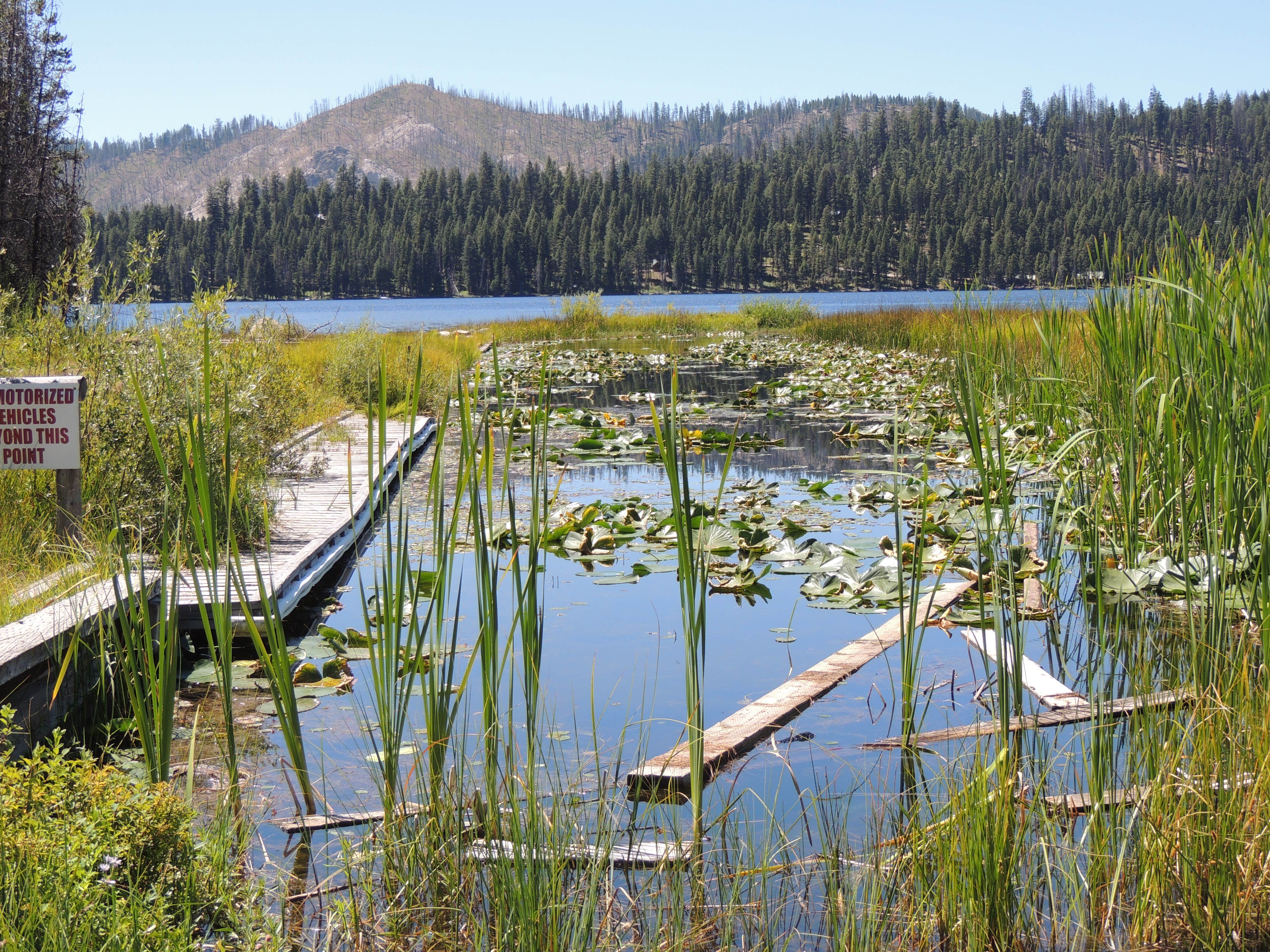 Idaho’s Hidden Gem: Warm Lake Campground – Escape To Tranquility