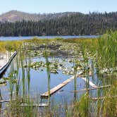 Review photo of Boise National Forest Warm Lake Campground by Ed E., May 23, 2018