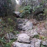 Review photo of Hickory Ridge Campground — Grayson Highlands State Park by Danielle L., November 9, 2020