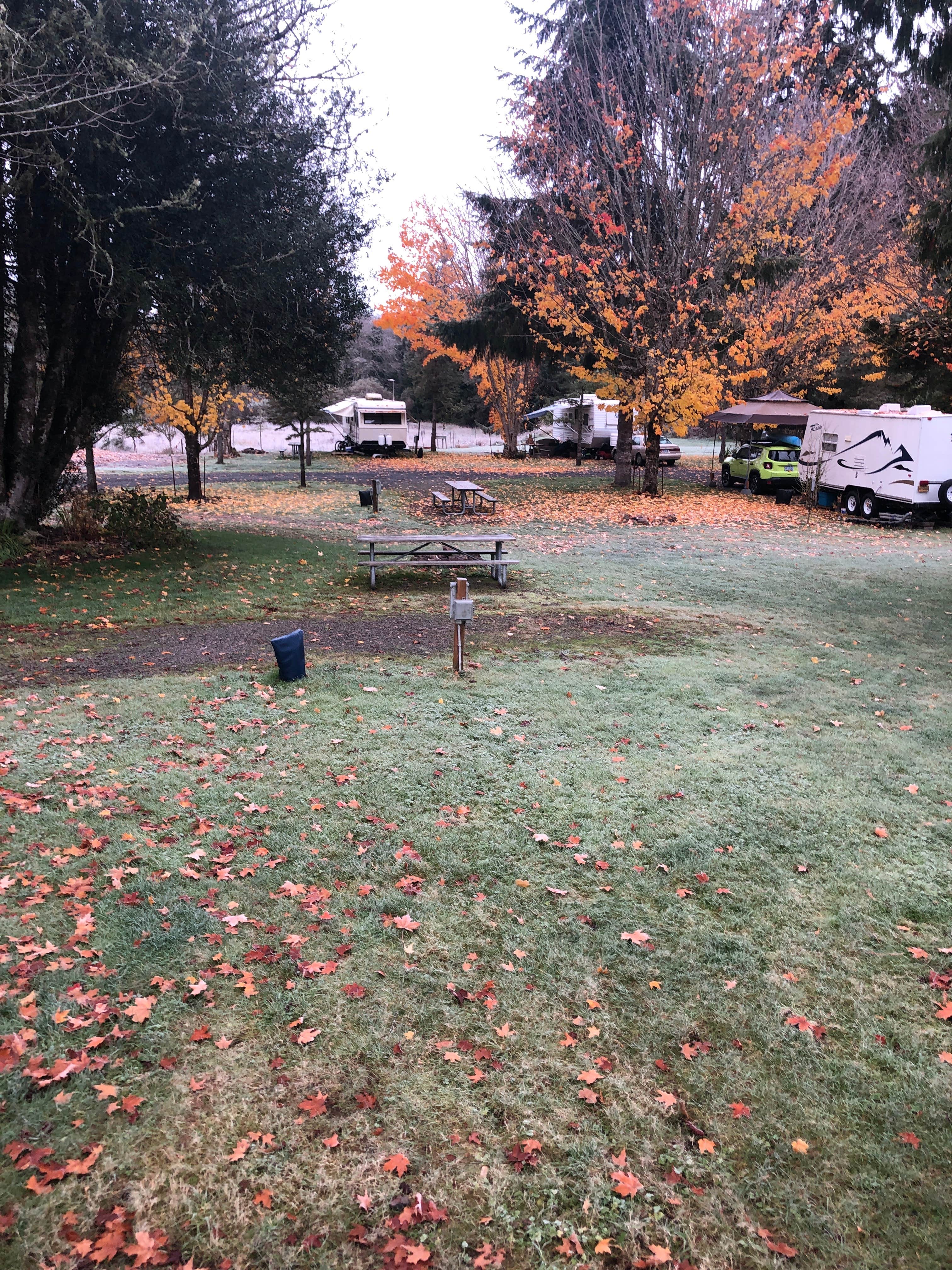 Klaskanine River Rv Park The Dyrt