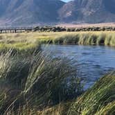 Review photo of Browns Owens River Campground by James , November 9, 2020